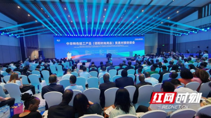 讓世界看見“一片葉子”的魅力 保靖黃金茶亮相中非經貿博覽會