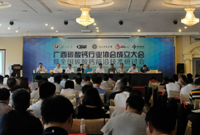 回顧2015年中國(guó)碳酸鈣行業(yè)大事件及部分點(diǎn)評(píng)