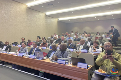 郴州市經貿代表團出訪非洲,首站南非收獲滿滿